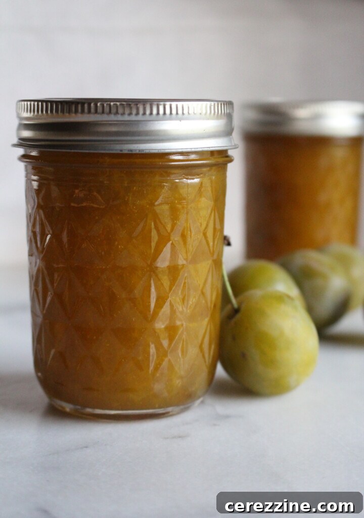 Greengage Jam