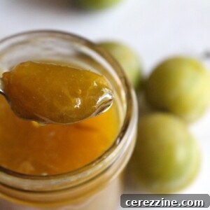 Greengage Jam