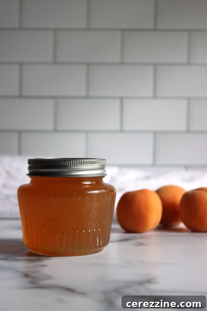 Golden Apricot Preserve 4 Apricot Jelly