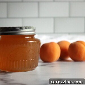 Golden Apricot Preserve 5 Apricot Jelly