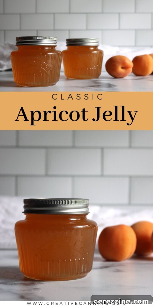Golden Apricot Preserve 6 Apricot Jelly Recipe