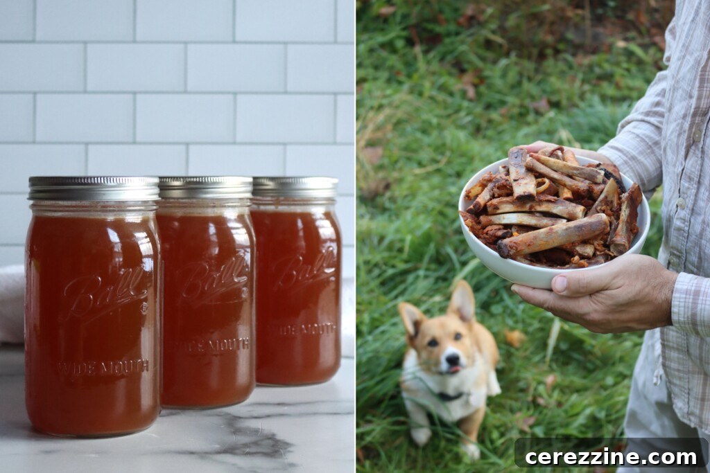 Nourishing Rib Elixir 2 Rich Rib Stock Recipe