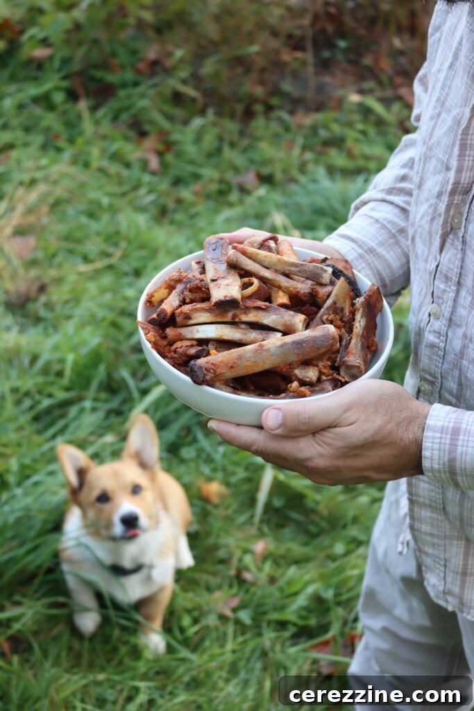 Nourishing Rib Elixir 3 Pork Rib Bones for Broth
