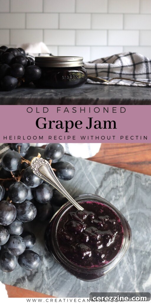 Heirloom Grape Jam 8 Grape Jam Recipe Finished