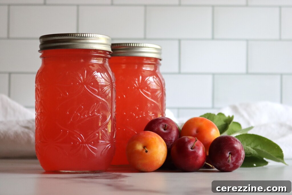 Bottled Plum Lemonade Essence 2 Plum Lemonade Concentrate