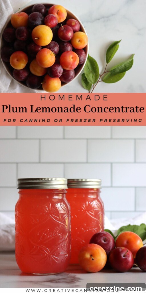 Bottled Plum Lemonade Essence 6 Plum Lemonade Concentrate Recipe