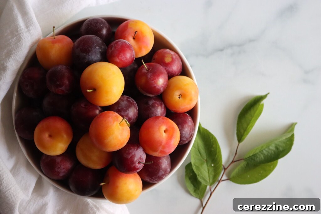 Bottled Plum Lemonade Essence 3 Plums