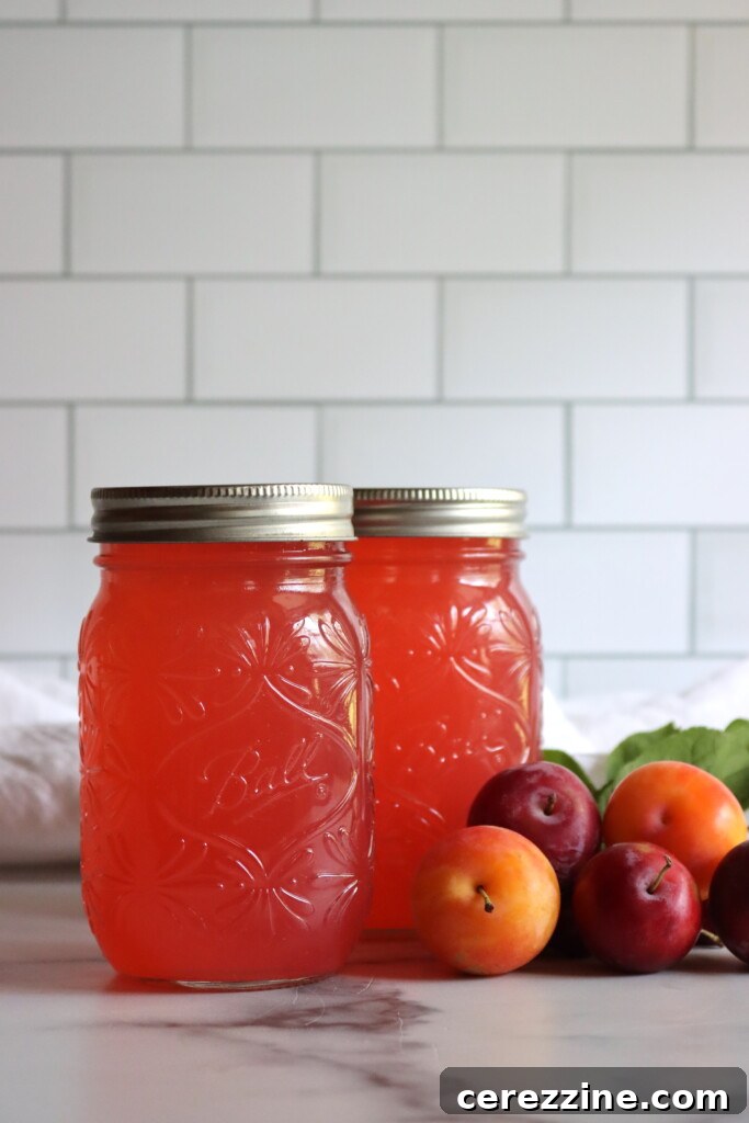 Bottled Plum Lemonade Essence 4 Plum Lemonade Concentrate