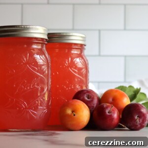 Plum Lemonade Concentrate