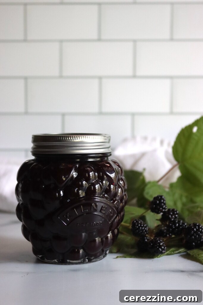 Seedless Blackberry Jam