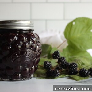 Seedless Blackberry Jam