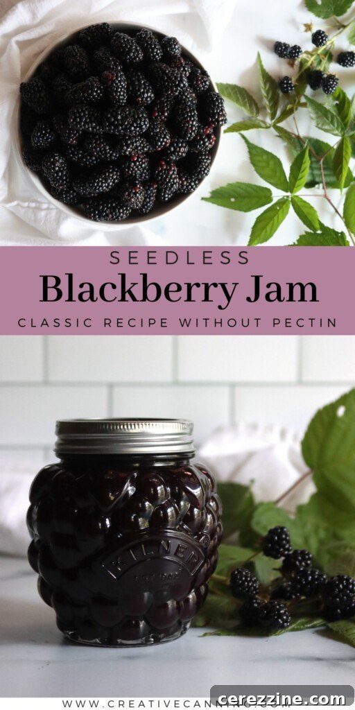 Seedless Blackberry Jam Recipe