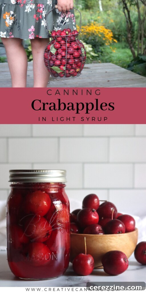 Sweet Crabapple Jars 7 A tall, elegant mason jar showcasing beautifully preserved whole crabapples in a clear, golden syrup, standing on a minimalist surface. The lighting emphasizes the vibrant color and delicate texture of the fruit.