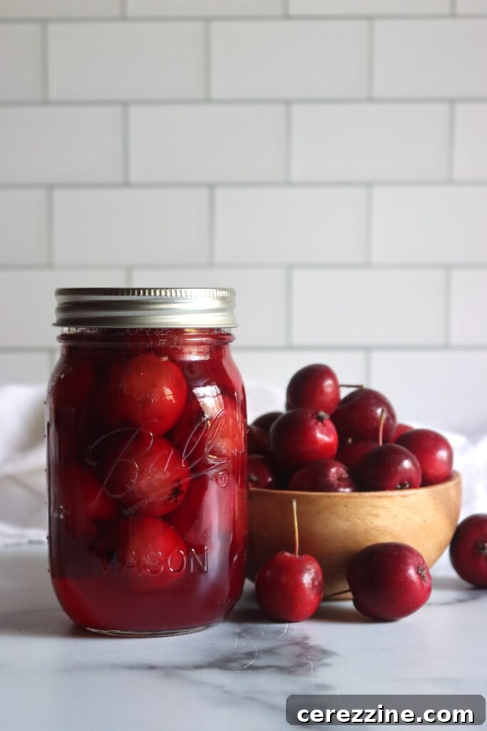 Sweet Crabapple Jars 5 A beautifully sealed jar of homemade crabapples in a shimmering light syrup, displayed on a wooden countertop next to a handful of fresh red crabapples, symbolizing the culmination of the canning effort.