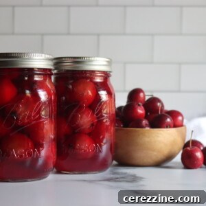 Two pint jars of home canned crabapples on a white counter with a bowl of crabapples next to them, showing the finished product.