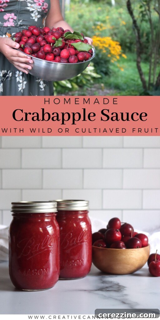 Crabapple Sauce Recipe