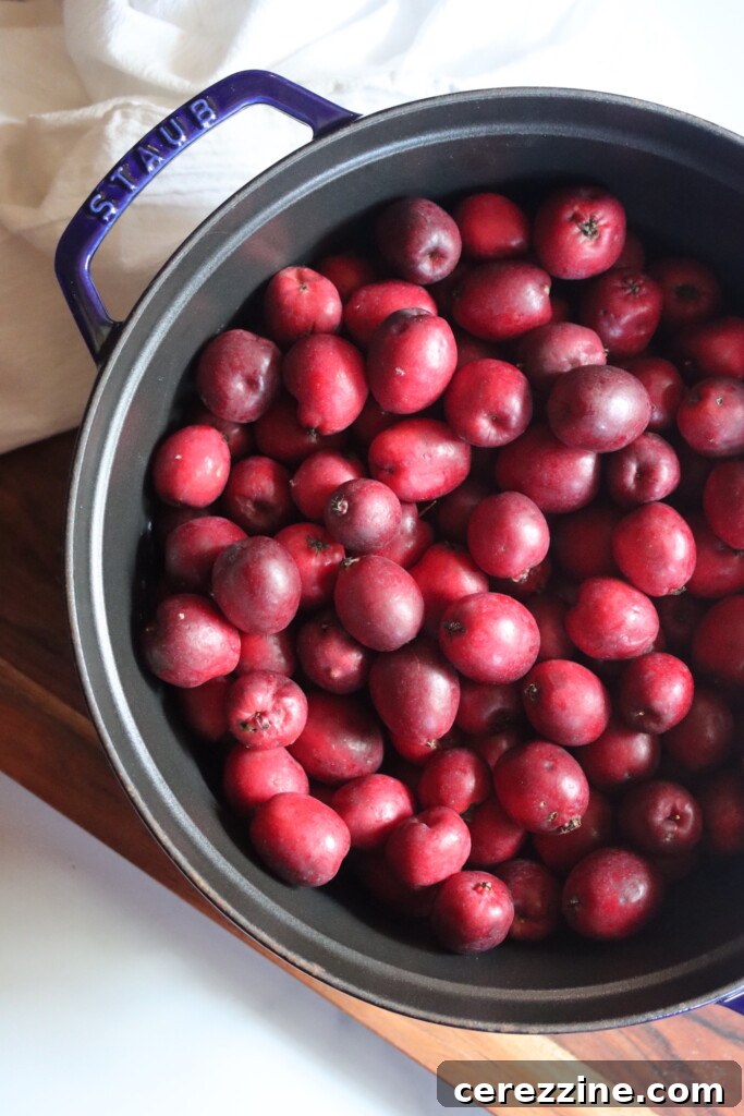Crabapples in a pot, ready for cooking into sauce.