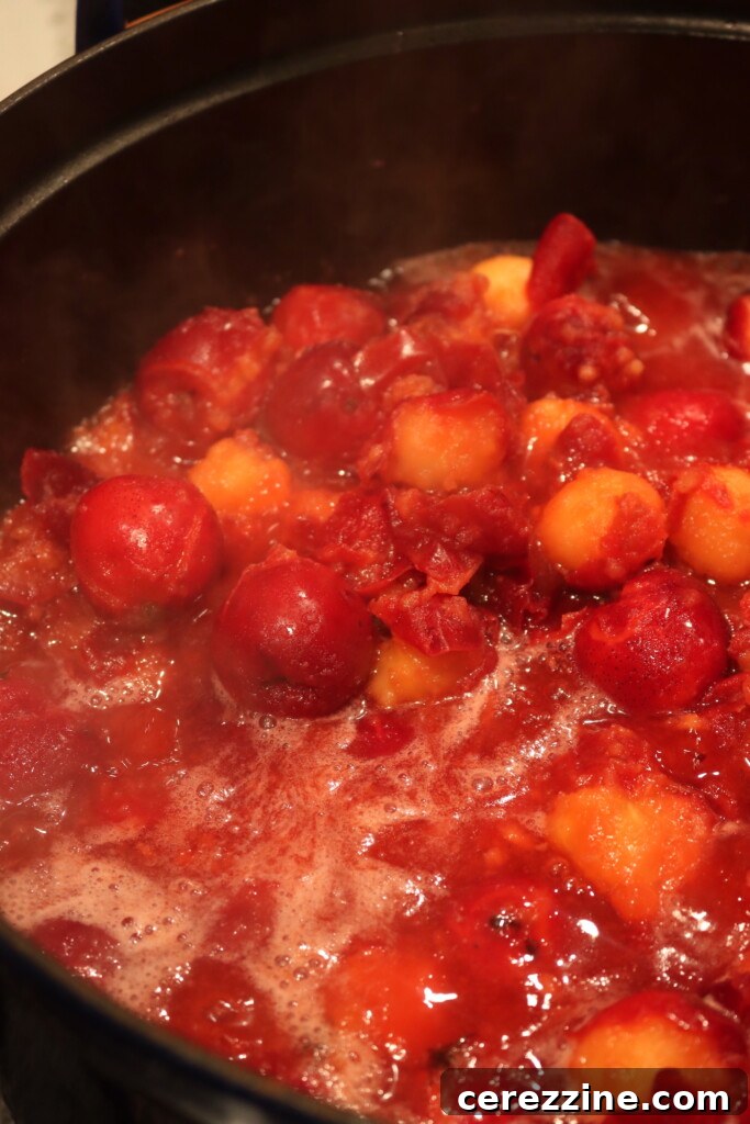 Making Crabapple Sauce