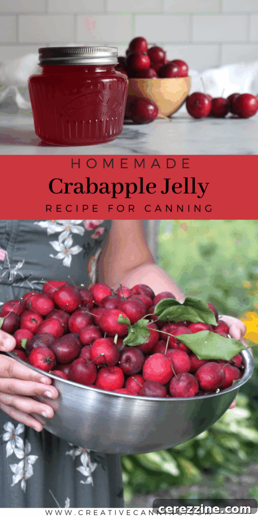 Ruby Red Crabapple Jelly 11 Crabapple Jelly Recipe