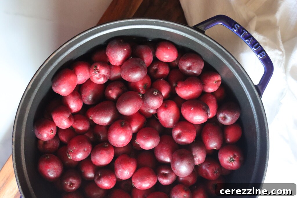 Ruby Red Crabapple Jelly 5 Crabapples in a pot ready to make jelly.