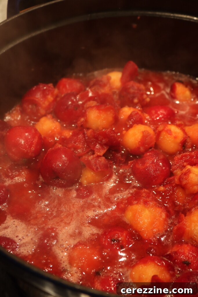 Ruby Red Crabapple Jelly 6 Boiling Crabapples to make jelly
