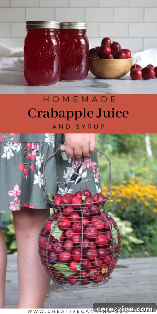 Tart Crabapple Elixir 7 Crabapple Juice Recipe