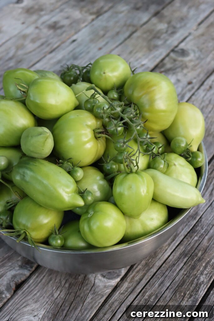 A vibrant collage of various green tomato recipes, including chow chow, showcasing the versatility of this late-season harvest.