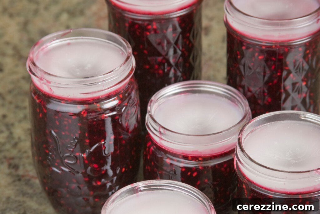 Wax Jam Seals