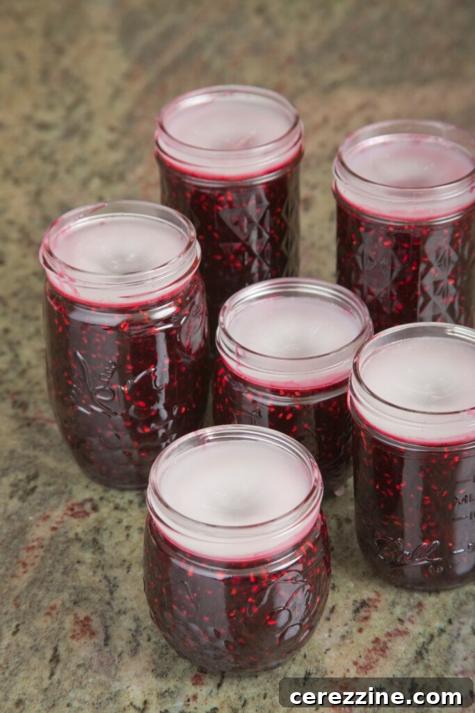 Paraffin Wax Seals on Blackberry Jam