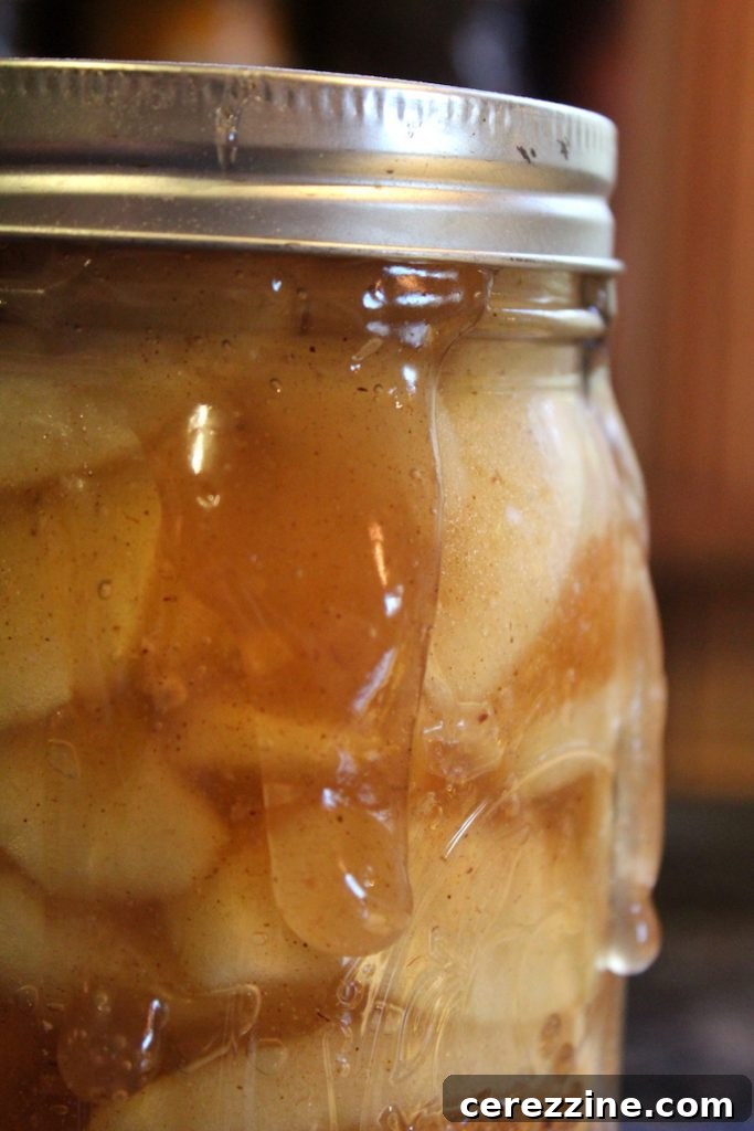 Canning Siphoning: Causes of Liquid Loss 4 img 32166 3 1