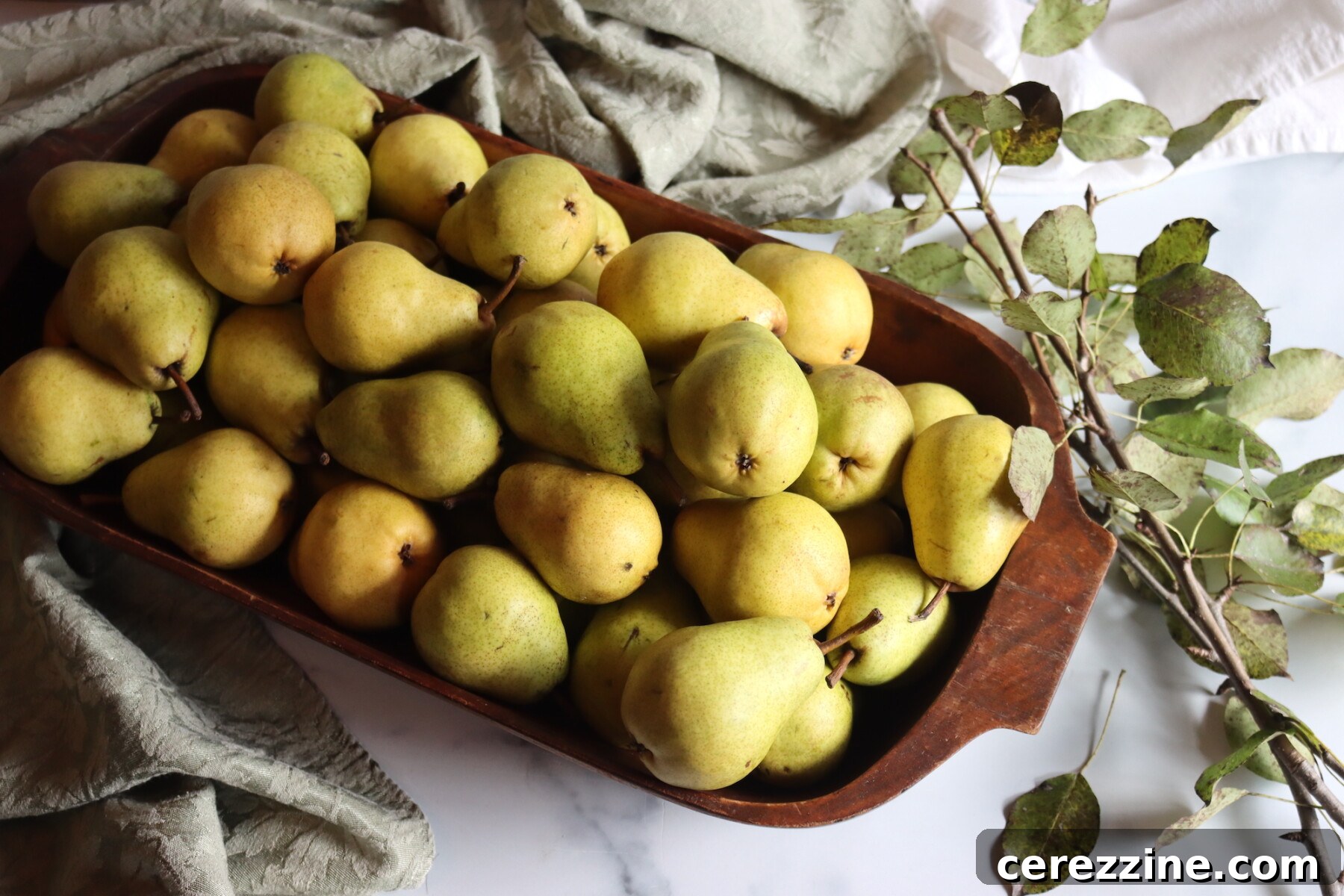 Pear Harvest - A close-up of ripe pears, some with rustic charm.