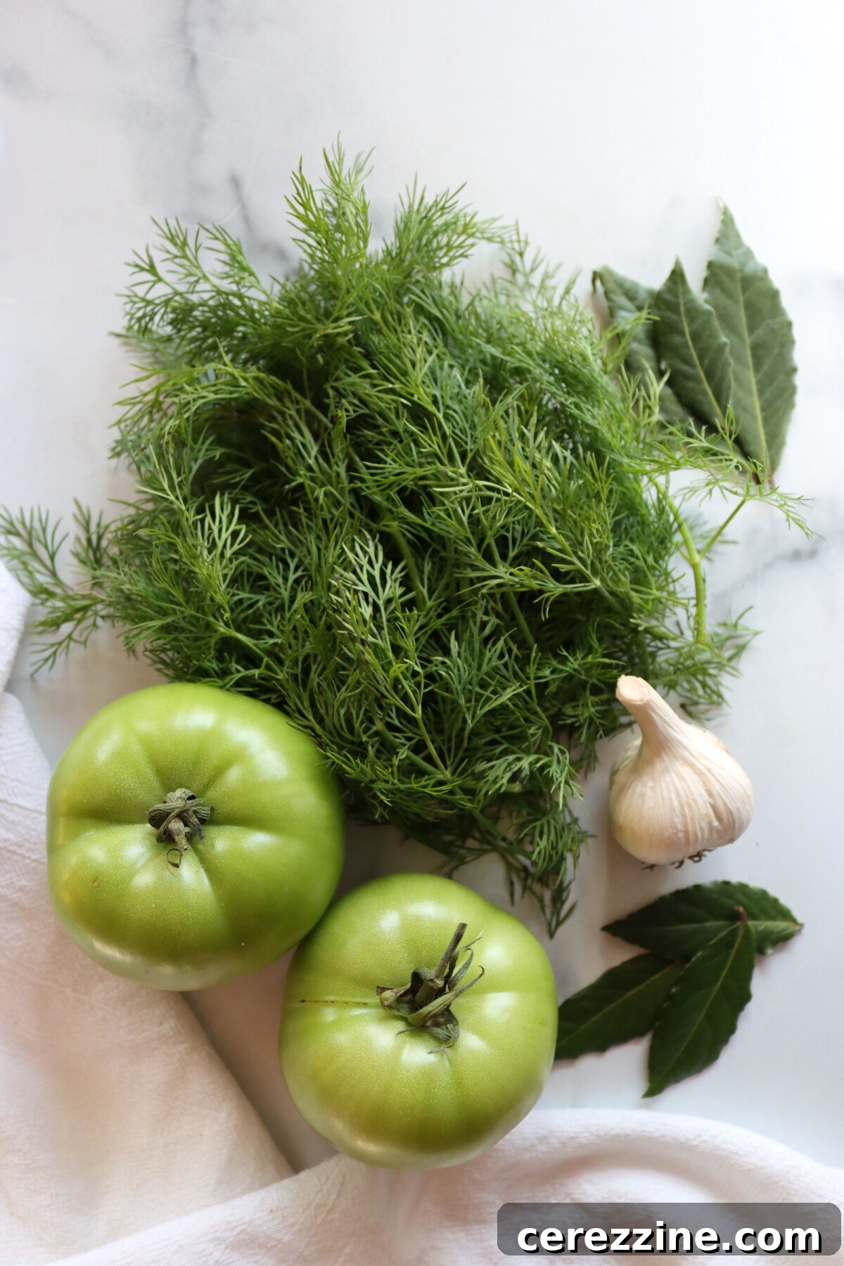 Dill Pickled Green Tomatoes Ingredients Close-Up