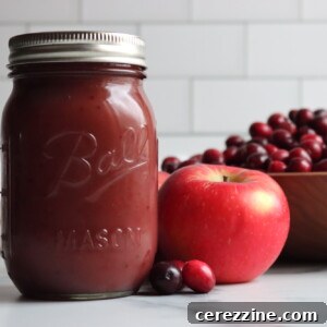 Cranberry Applesauce, a delicious homemade fruit puree
