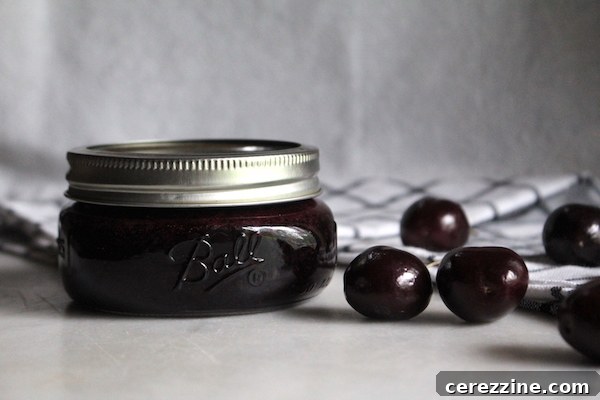 Close-up of freshly made black cherry jam