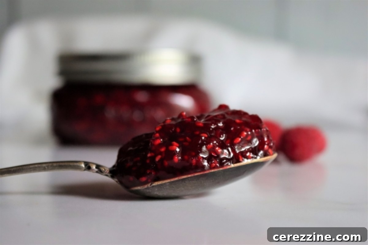 Raspberry Jam Texture without Pectin