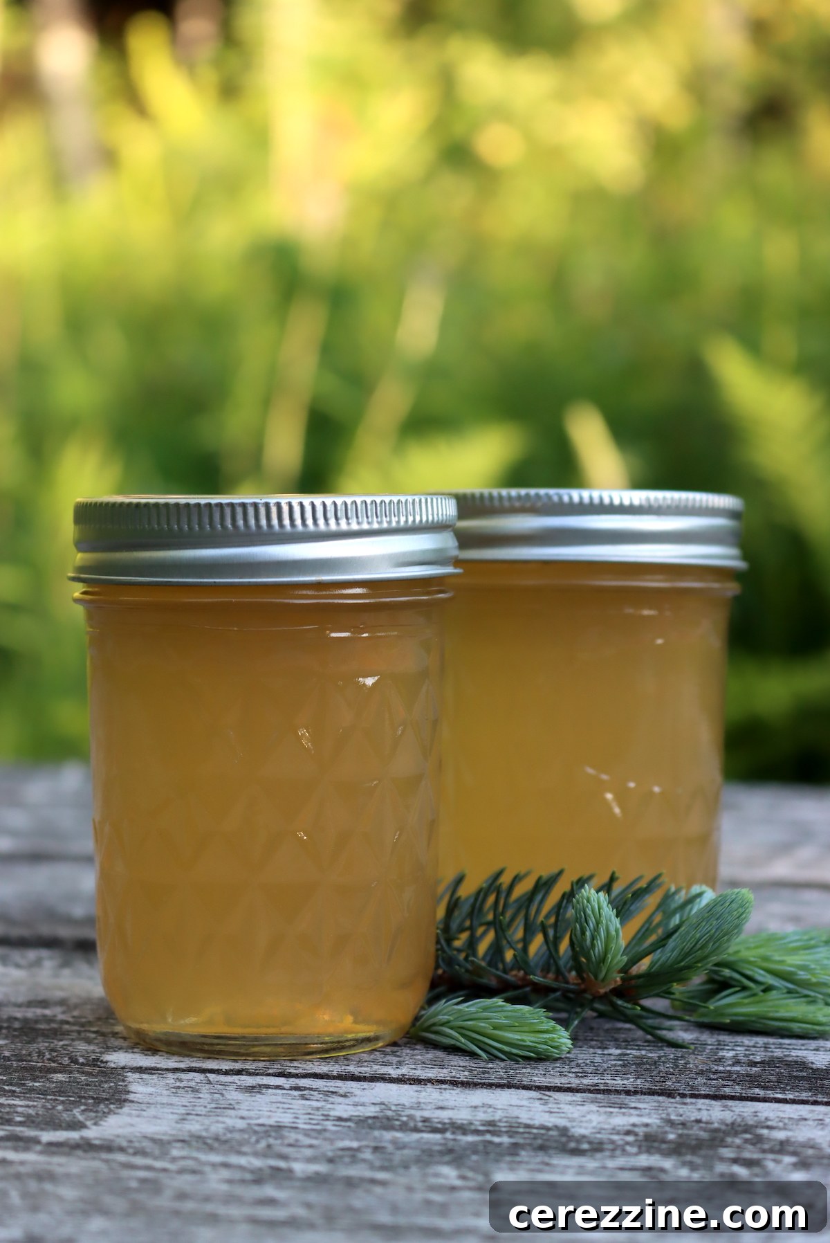Spruce Tip Jelly