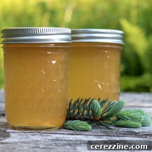 Spruce Tip Jelly