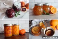 Preserving Sunshine: Over Twenty Orange Canning Ideas
