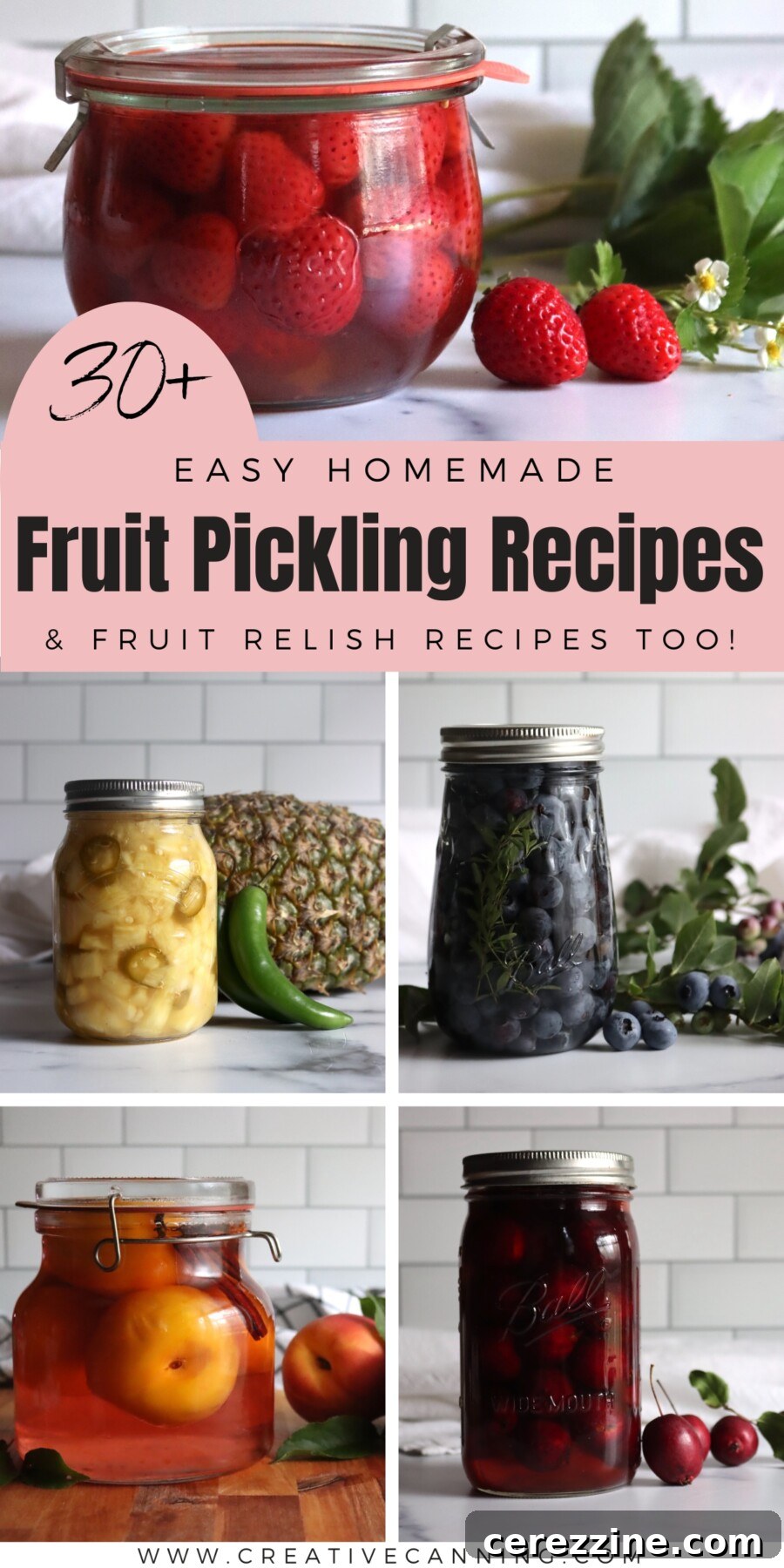A vibrant collection of various Fruit Pickling Recipes in jars, showcasing homemade preservation