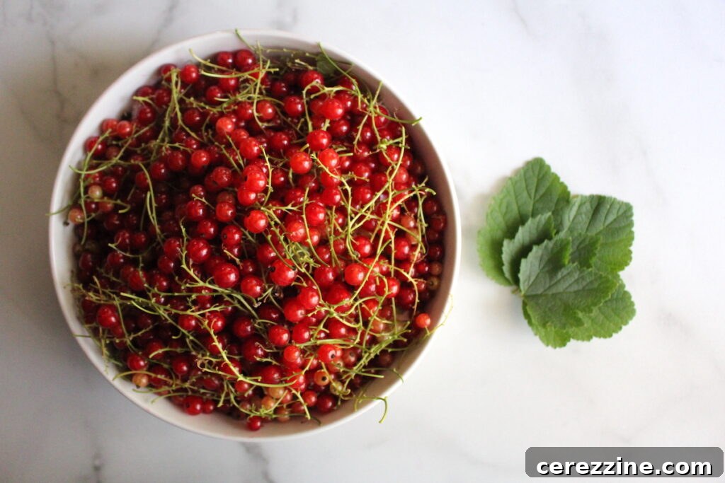 Home Canning Perfection The Calcium Chloride Crunch 7 Red Currants