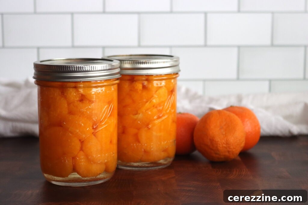 Preserving Sunshine: Over Twenty Orange Canning Ideas 4 Canning Oranges