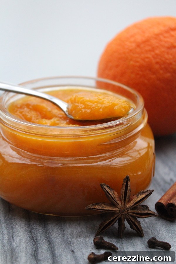 Preserving Sunshine: Over Twenty Orange Canning Ideas 6 Spiced Orange Jam