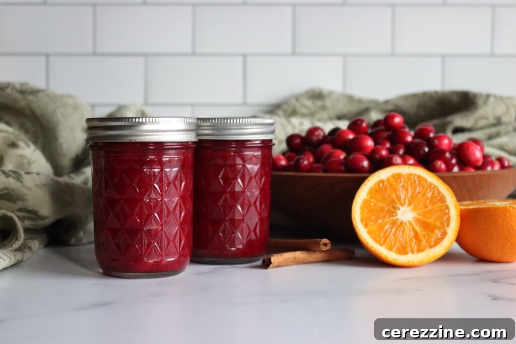 Preserving Sunshine: Over Twenty Orange Canning Ideas 7 Cranberry Orange Sauce