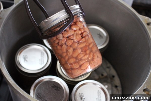 Bean Canning Mastery: Recipes for Every Meal and Beyond 4 Jars of freshly canned plain beans, ready for storage.