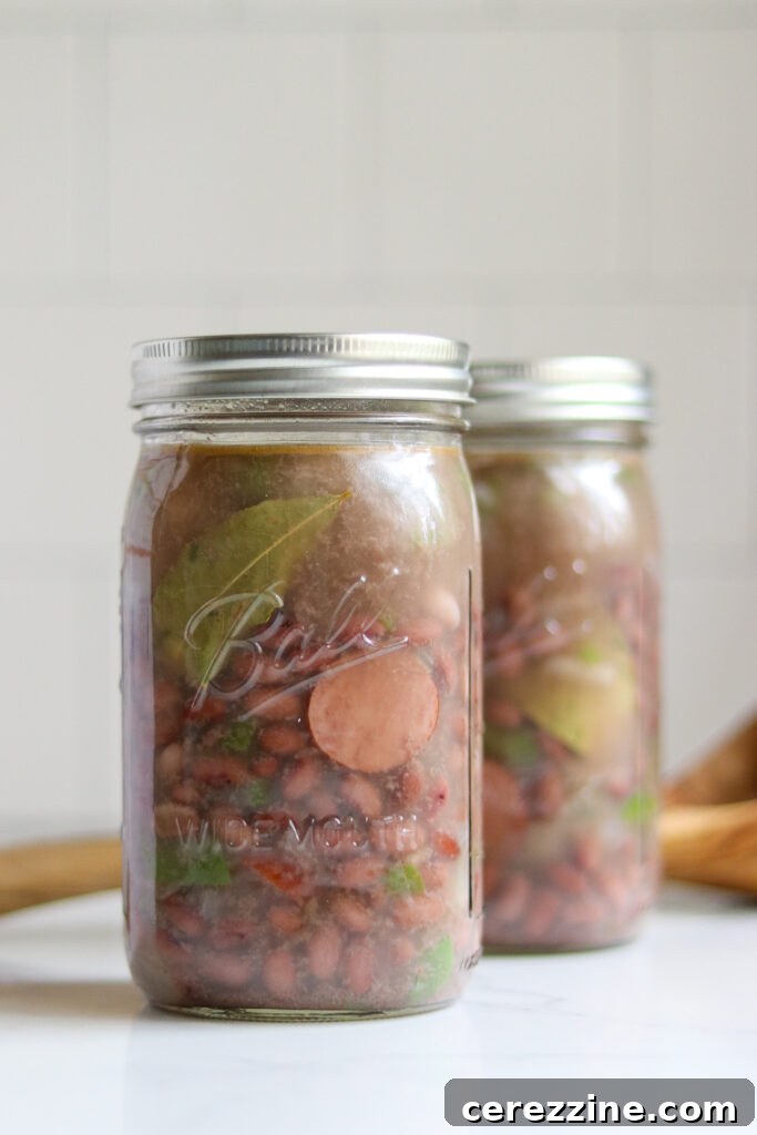 Bean Canning Mastery: Recipes for Every Meal and Beyond 6 Canning Cajun Red Beans
