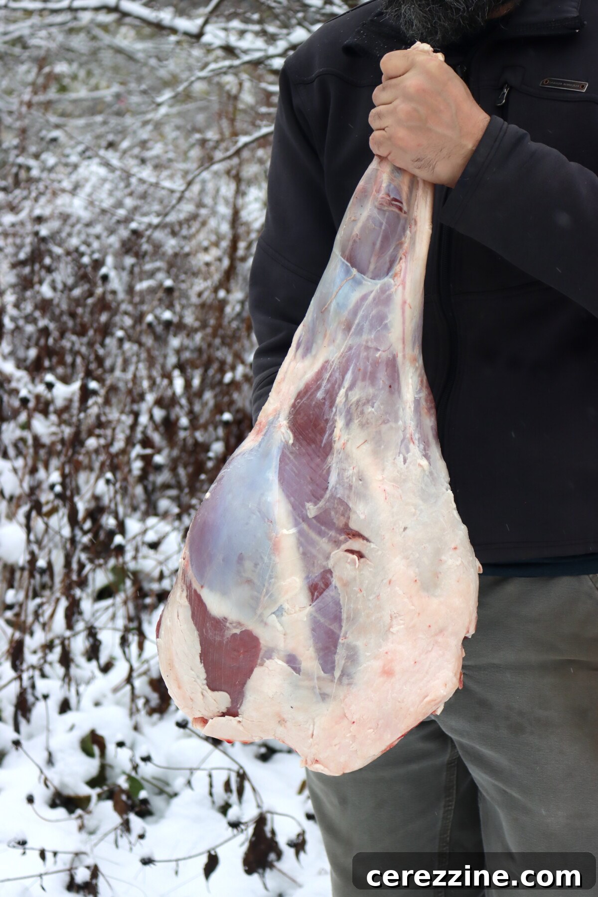 Venison Leg