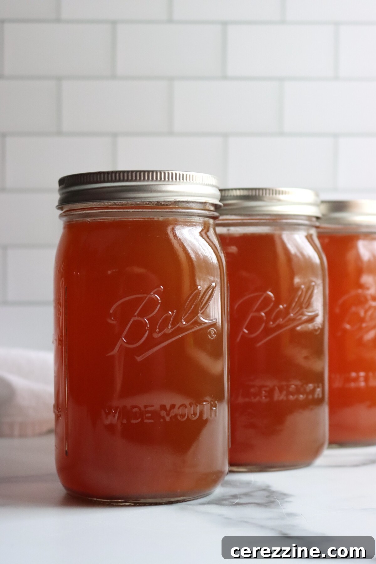 Venison Broth