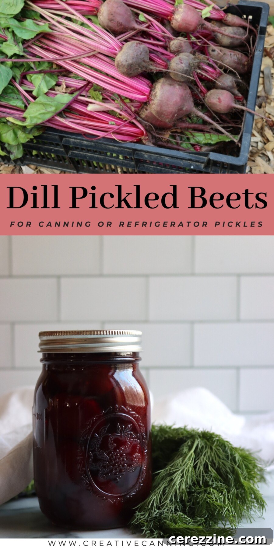 Finished Jars of Homemade Dill Pickled Beets
