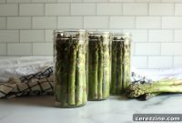 Preserving Asparagus at Home
