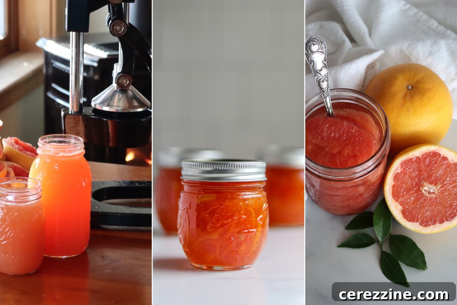 More Than 16 Zesty Grapefruit Canning Ideas 2 Grapefruit Canning Recipes